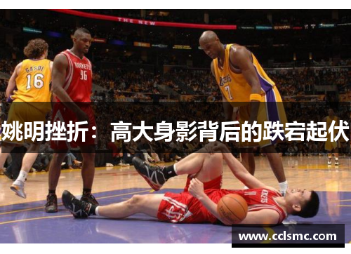姚明挫折：高大身影背后的跌宕起伏