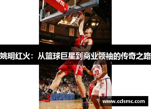 姚明红火：从篮球巨星到商业领袖的传奇之路