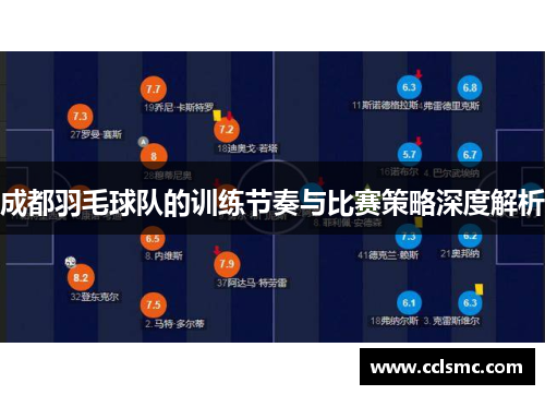 成都羽毛球队的训练节奏与比赛策略深度解析