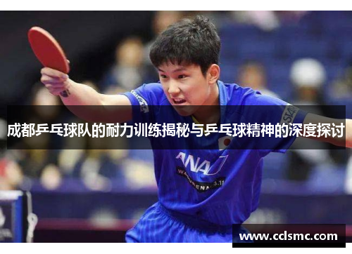 成都乒乓球队的耐力训练揭秘与乒乓球精神的深度探讨