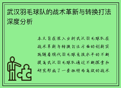 武汉羽毛球队的战术革新与转换打法深度分析