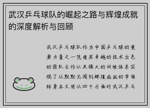 武汉乒乓球队的崛起之路与辉煌成就的深度解析与回顾